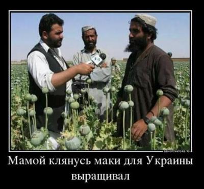 Прикрепленное изображение: o96lSL--ZkM.jpg